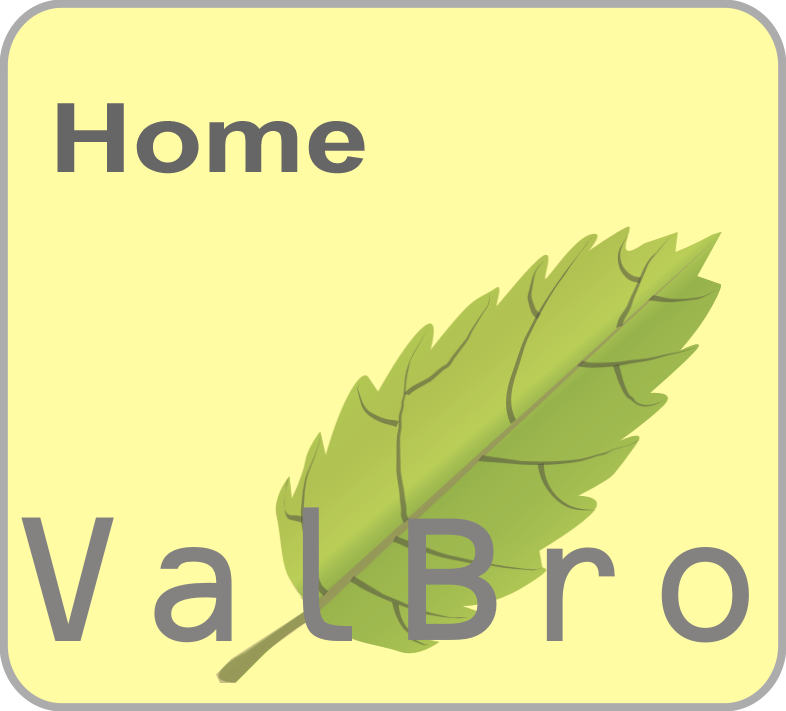 ValBro Logo